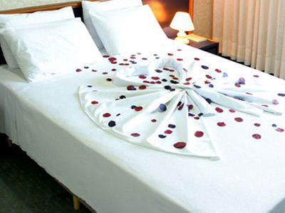Virgilius Palace Hotel 3*